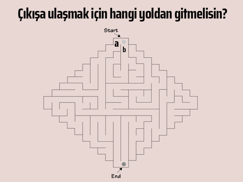 Sonuca ulaşmak için hangi yolu tercih etmelisin?