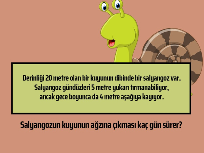 Salyangozun kuyunun ağzına çıkması kaç gün sürer?