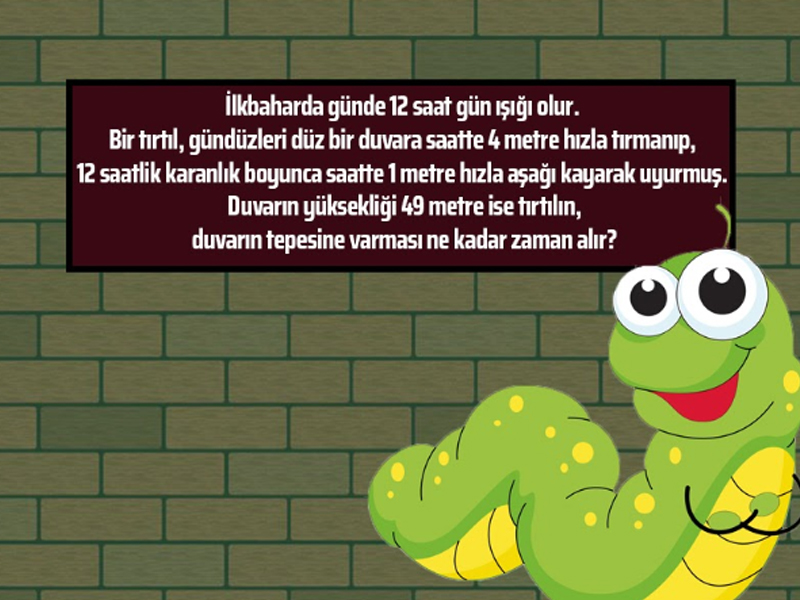 Tırtılın duvarın tepesine ulaşması ne kadar sürer?