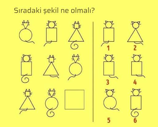 Sıradaki şekil hangisi olabilir?