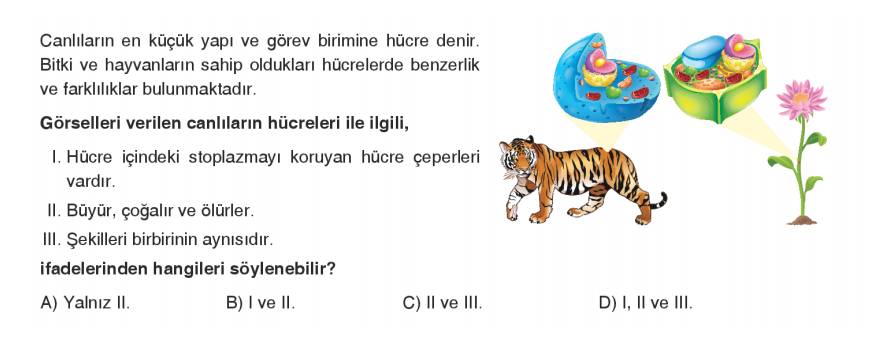 Resimdeki canlılarla ilgili hangi ifadeler söylenebilir?