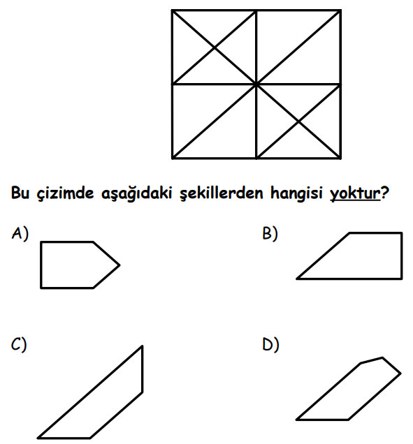 Çizilen şekilde aşağıdakilerden hangisini bulamazsınız?