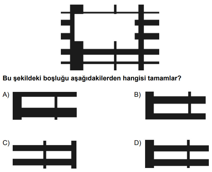Boşluğu hangi şekil tamamlar?