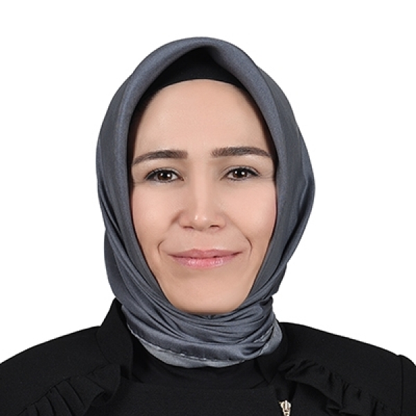 24 haziran 2018 genel secim ak parti