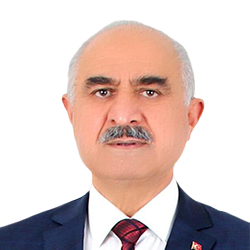 Mehmet Ziya Buyankara