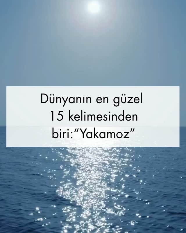 Dil öğrenme platformu Babbel,  uluslararası dil uzmanları, yazarlar ve dil bilimcilerden oluşan bağımsız bir jüri grubuyla birlikte çalışarak dünyanın en güzel kelimelerini seçti. Türkçe'den "yakamoz", finale kalan 15 kelimeden biri oldu. 

Yeni Zelanda'nın yerli Maori dilinden "Kaitiakitanga", dünyanın en güzel kelimesi seçildi. 

İnsanlar ile doğal dünya arasında derin bir akrabalık bağı olduğuna inanan Maoriler'de bu bağ, çevreyi yönetme biçimi olan *kaitiakitanga* aracılığıyla ifade ediliyor. 

İşte dünyanın en güzel kelimeleri seçilenler:

Mamihlapinatapai (Yaghan): İki kişinin bir şey başlatmak istediği ancak ikisinin de tereddüt ettiği anda birbirlerine attıkları anlamlı bakış.

Hiraeth (Galce): Kaybedilmiş ya da hiçbir zaman gerçekten tanınmamış bir yuvaya veya zamana duyulan derin, buruk özlem.

Zephyr (Yunanca): Hafif, yumuşak ve ferahlatıcı bir esinti.

Aura (Yunanca): Bir insanı çevreleyen kendine özgü etki, enerji veya atmosfer.

Ikigai (Japonca): İnsana her sabah yataktan