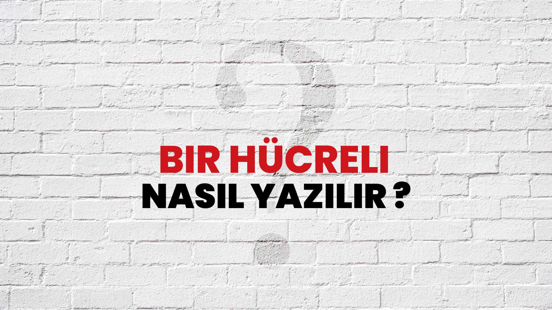 Bir Hücreli Nasıl Yazılır? TDK ile Bir Hücreli Doğru Yazılışı Nedir?