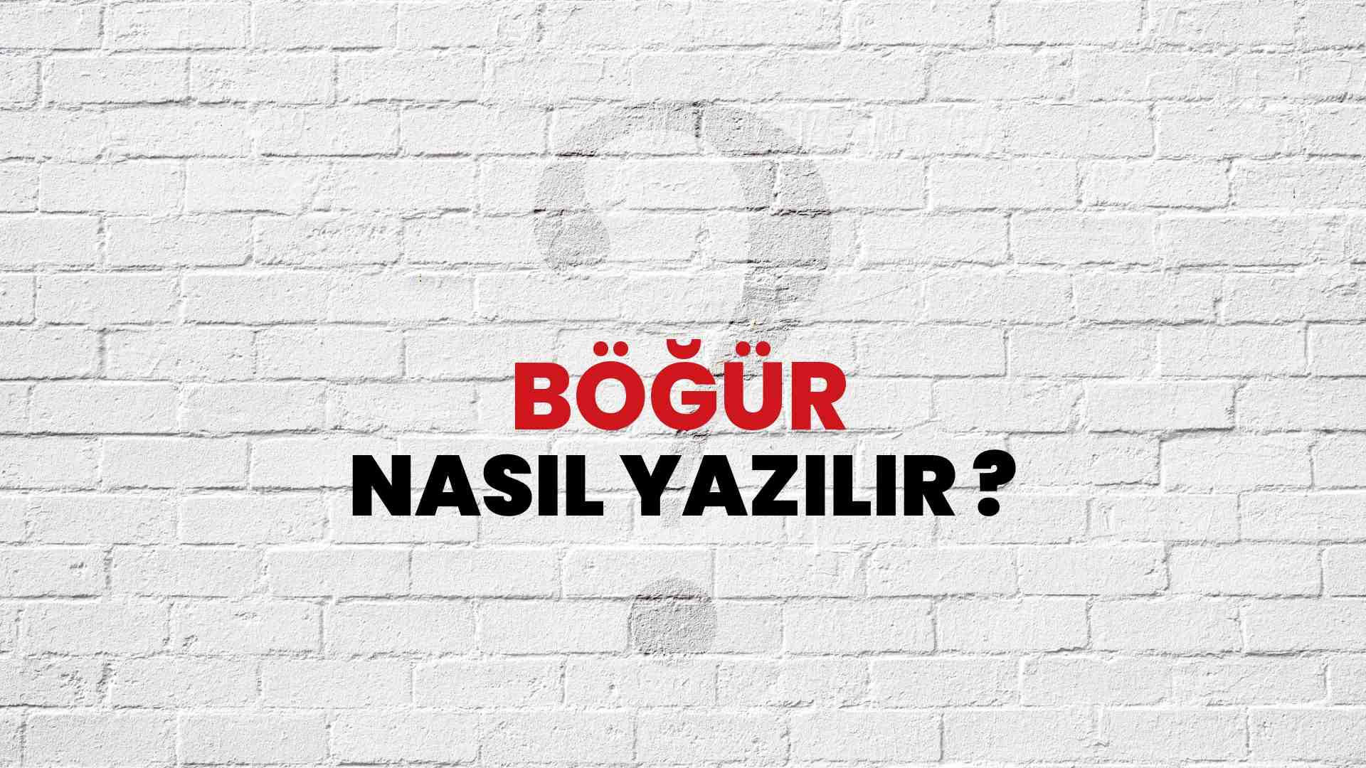 Böğür Doğru Yazımı Nedir? TDK ile Böğür Kelimesinin Doğru Yazılışı!