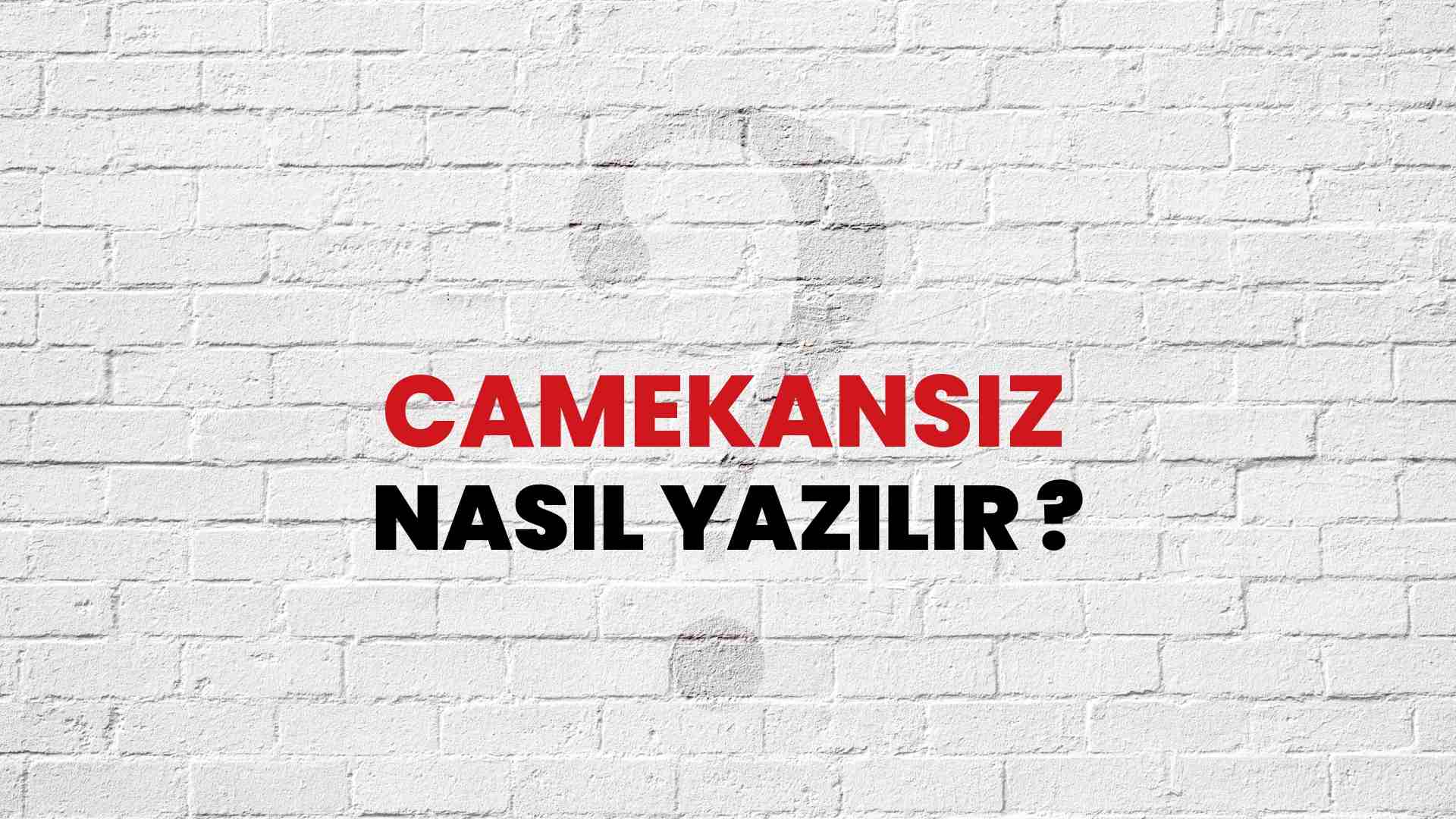 Camekansız Doğru Yazımı Nedir? TDK ile Camekansız Kelimesinin Doğru Yazılışı!