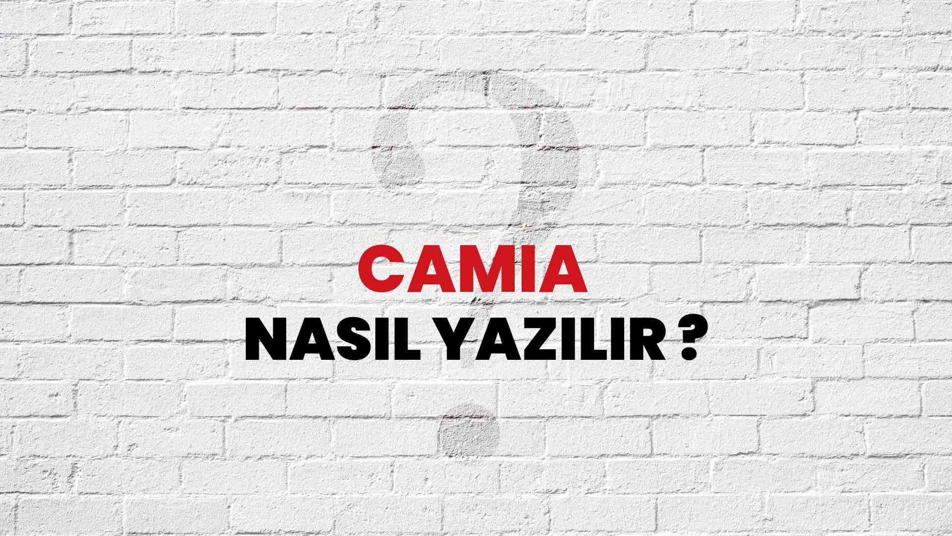 Camia Doğru Yazımı Nedir? TDK ile Camia Kelimesinin Doğru Yazılışı!
