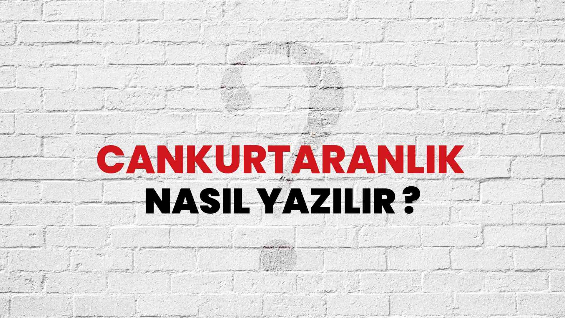 Cankurtaranlık Doğru Yazımı Nedir? TDK ile Cankurtaranlık Kelimesinin Doğru Yazılışı!