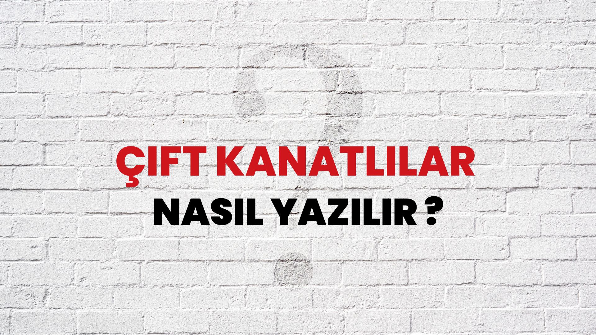 Çift Kanatlılar Nasıl Yazılır? TDK ile Çift Kanatlılar Doğru Yazılışı Nedir?