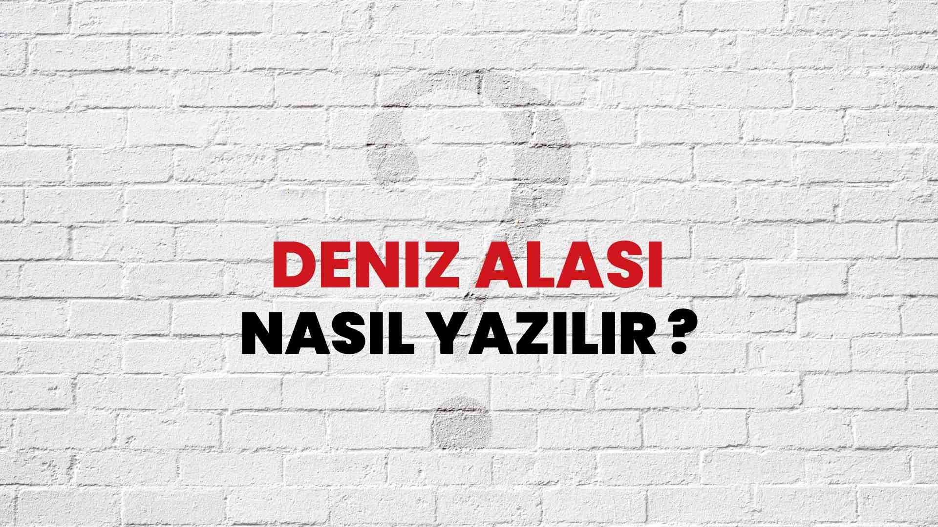 Deniz Alası Doğru Yazımı Nedir? TDK ile Deniz Alası Kelimesinin Doğru Yazılışı!