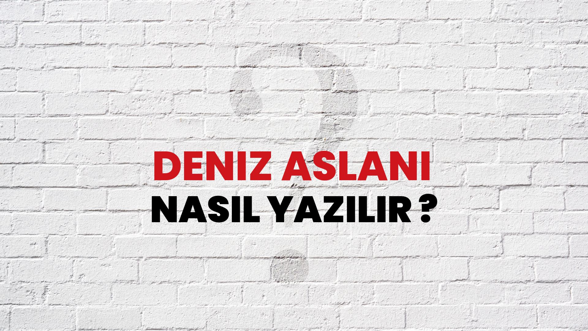Deniz Aslanı Nasıl Yazılır? TDK ile Deniz Aslanı Doğru Yazılışı Nedir?