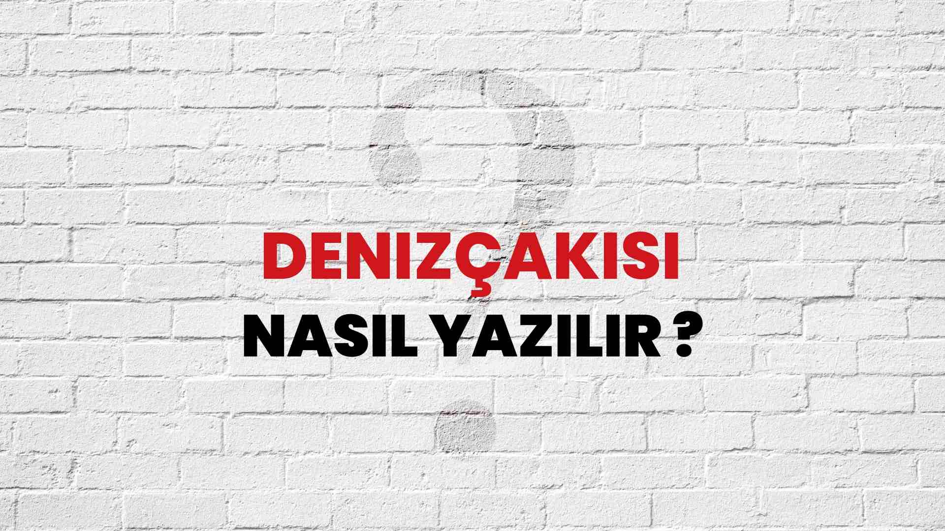 Denizçakısı Nasıl Yazılır? TDK ile Denizçakısı Doğru Yazılışı Nedir?