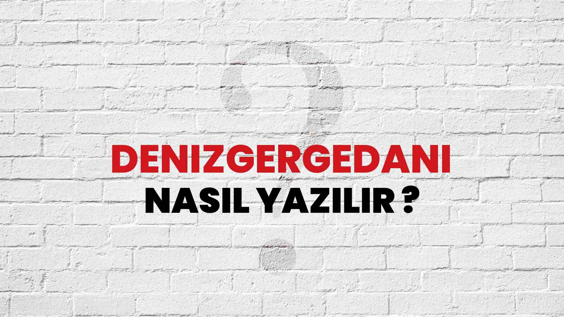 Denizgergedanı Doğru Yazımı Nedir? TDK ile Denizgergedanı Kelimesinin Doğru Yazılışı!