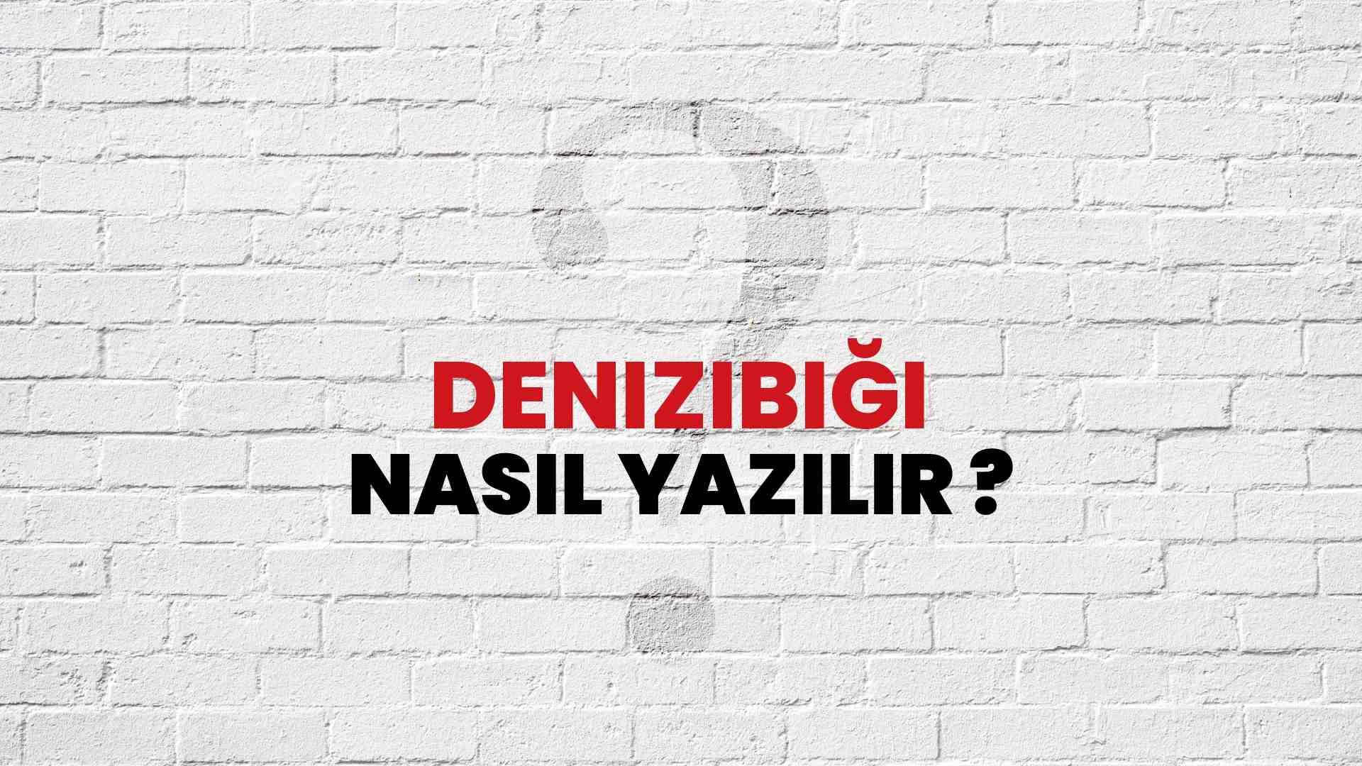 Denizibiği Doğru Yazımı Nedir? TDK ile Denizibiği Kelimesinin Doğru Yazılışı!