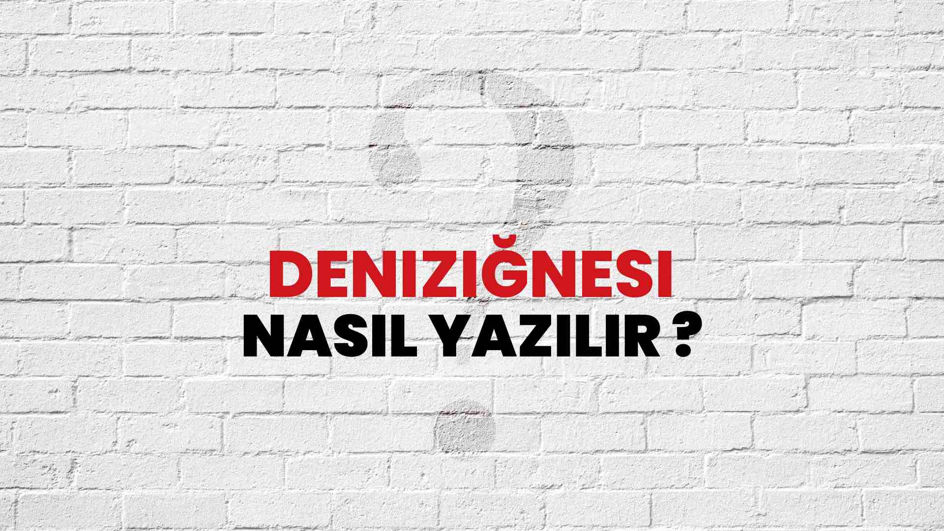 Deniziğnesi Doğru Yazımı Nedir? TDK ile Deniziğnesi Kelimesinin Doğru Yazılışı!