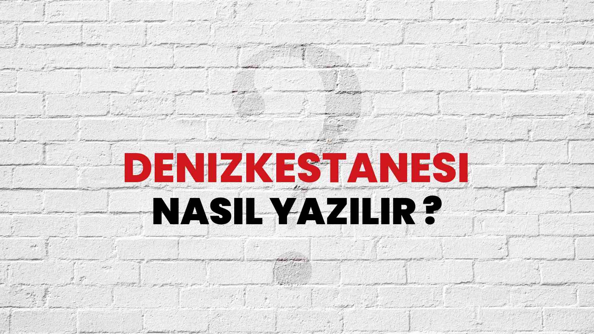 Denizkestanesi Doğru Yazımı Nedir? TDK ile Denizkestanesi Kelimesinin Doğru Yazılışı!