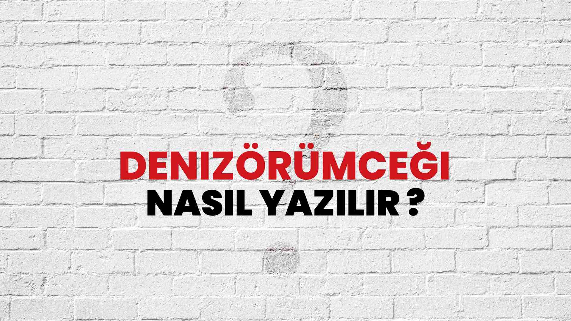Denizörümceği Nasıl Yazılır? TDK ile Denizörümceği Doğru Yazılışı Nedir?