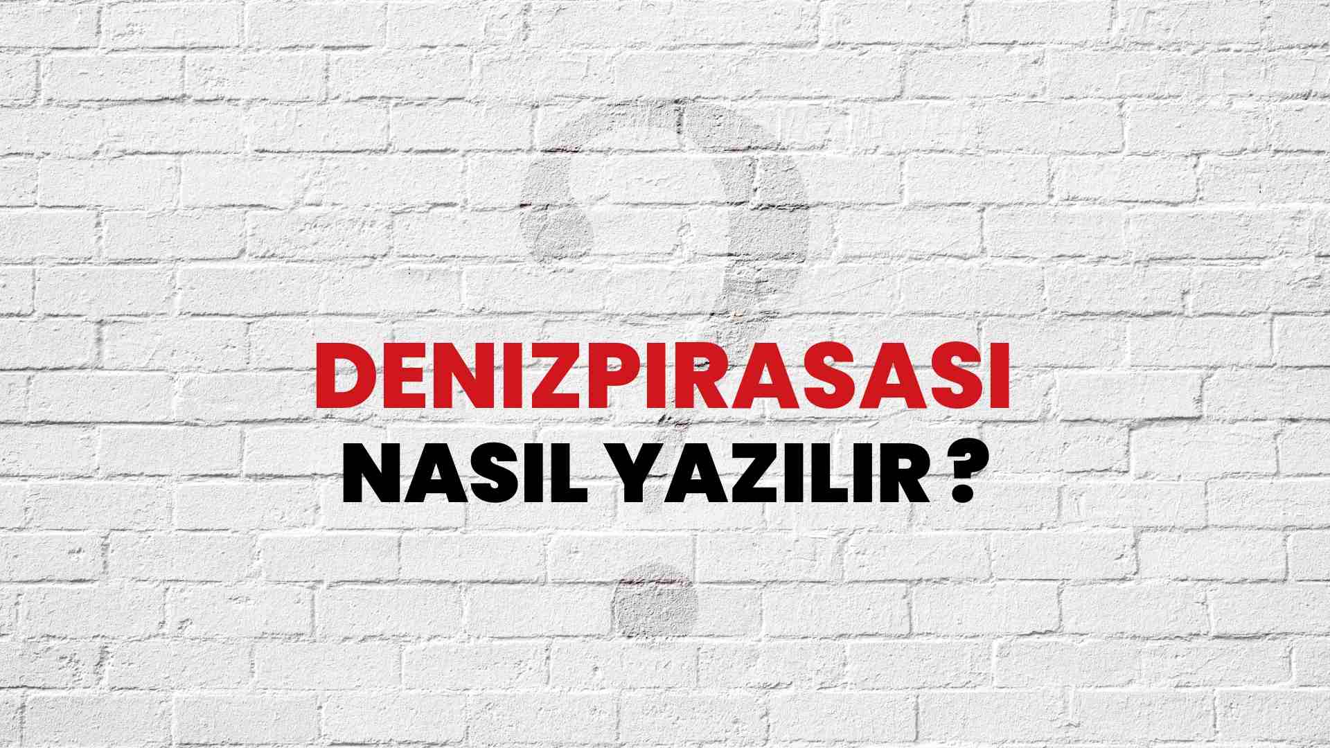 Denizpırasası Doğru Yazımı Nedir? TDK ile Denizpırasası Kelimesinin Doğru Yazılışı!