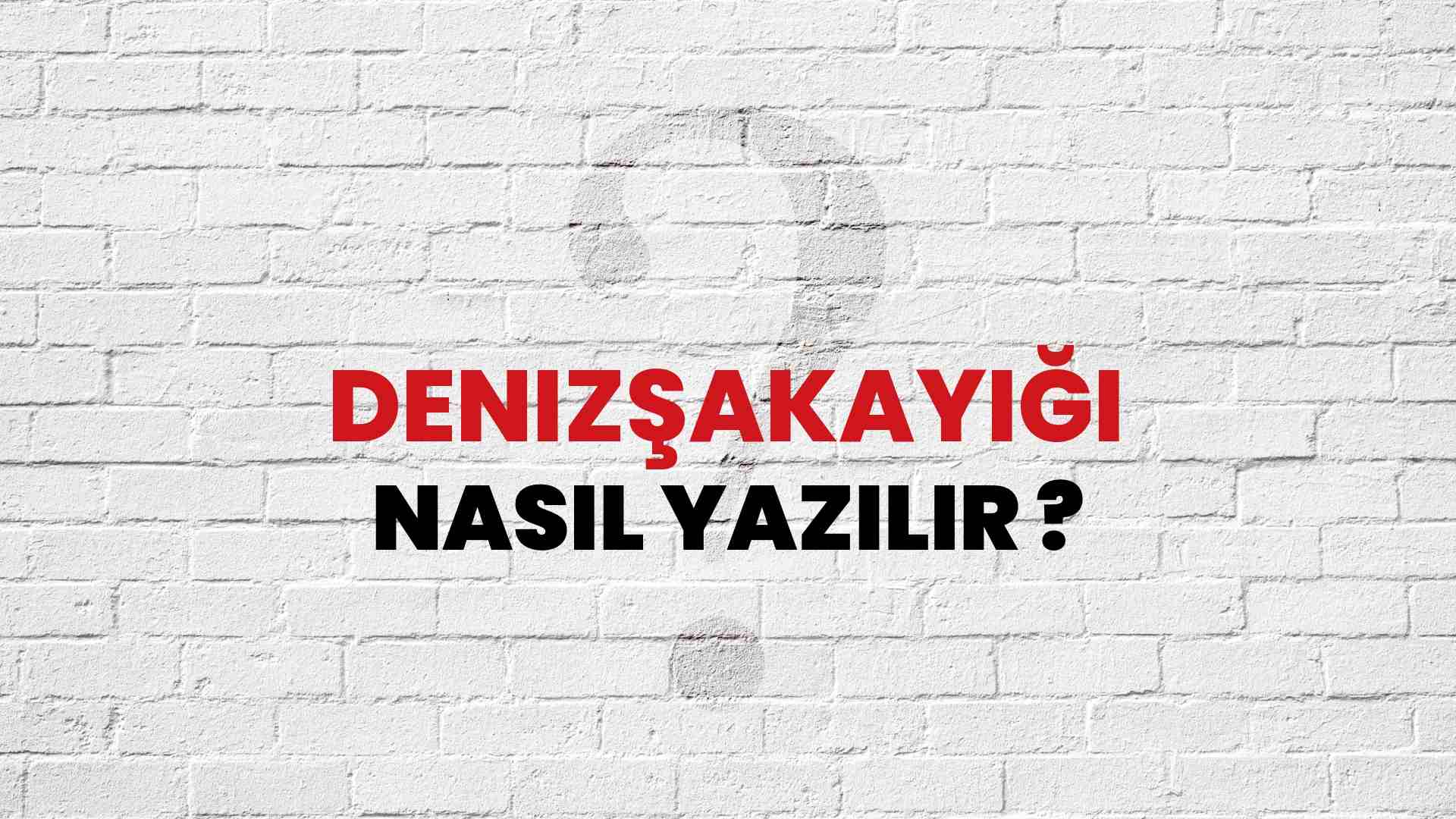 Denizşakayığı Doğru Yazımı Nedir? TDK ile Denizşakayığı Kelimesinin Doğru Yazılışı!