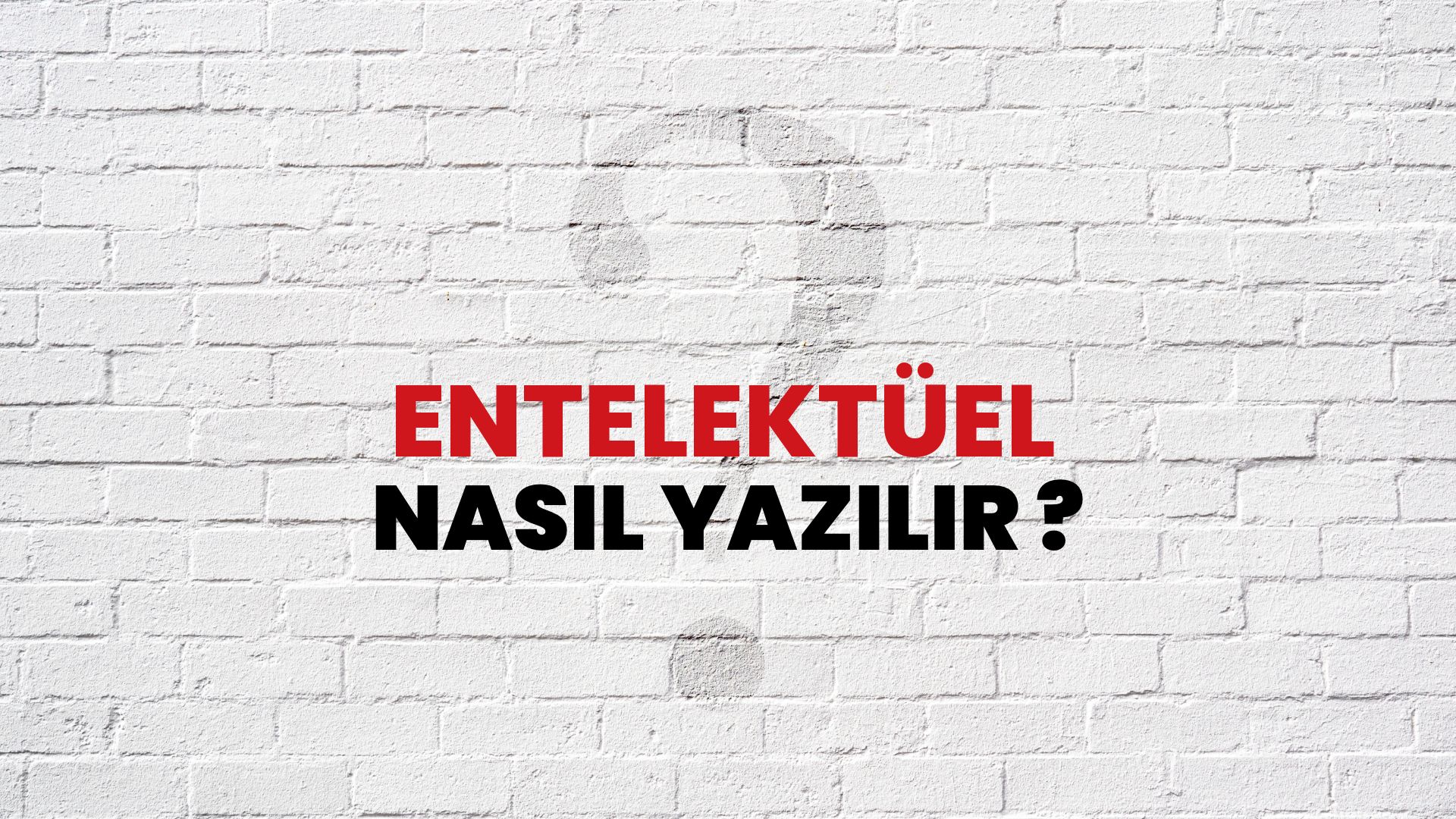 Entelektüel Nasıl Yazılır? TDK ile Entelektüel Doğru Yazılışı Nedir?
