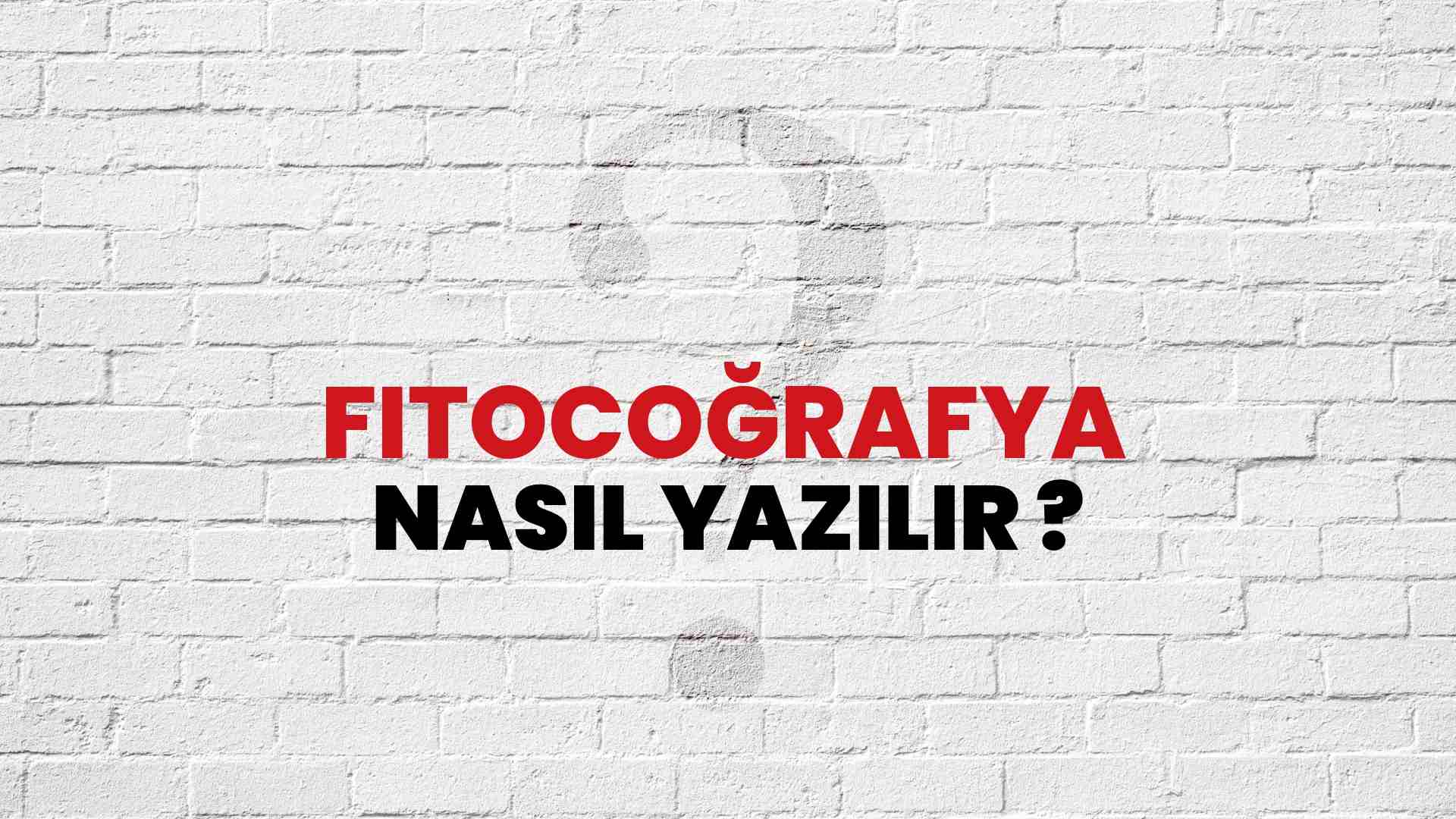 Fitocoğrafya Doğru Yazımı Nedir? TDK ile Fitocoğrafya Kelimesinin Doğru Yazılışı!