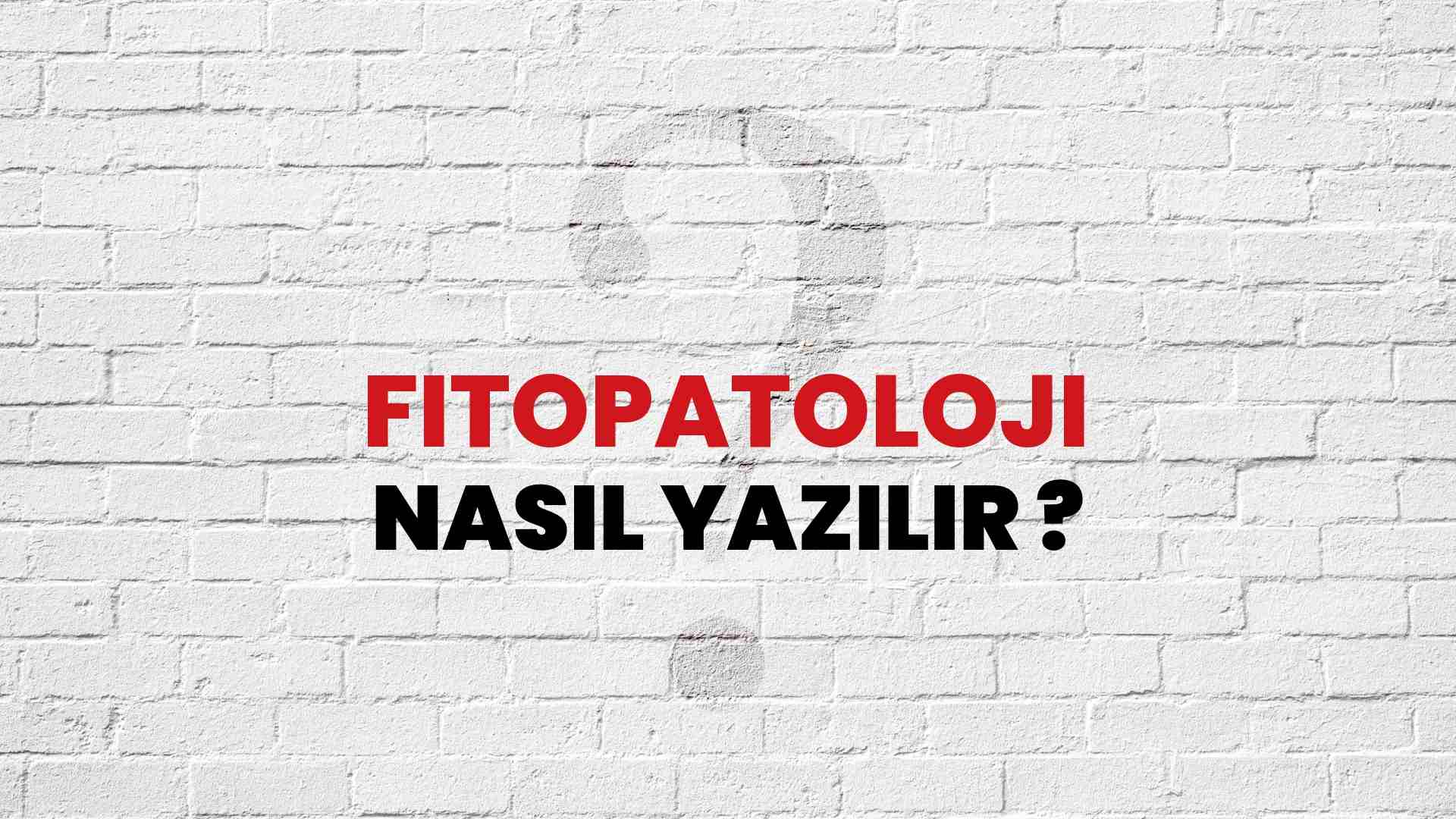 Fitopatoloji Doğru Yazımı Nedir? TDK ile Fitopatoloji Kelimesinin Doğru Yazılışı!