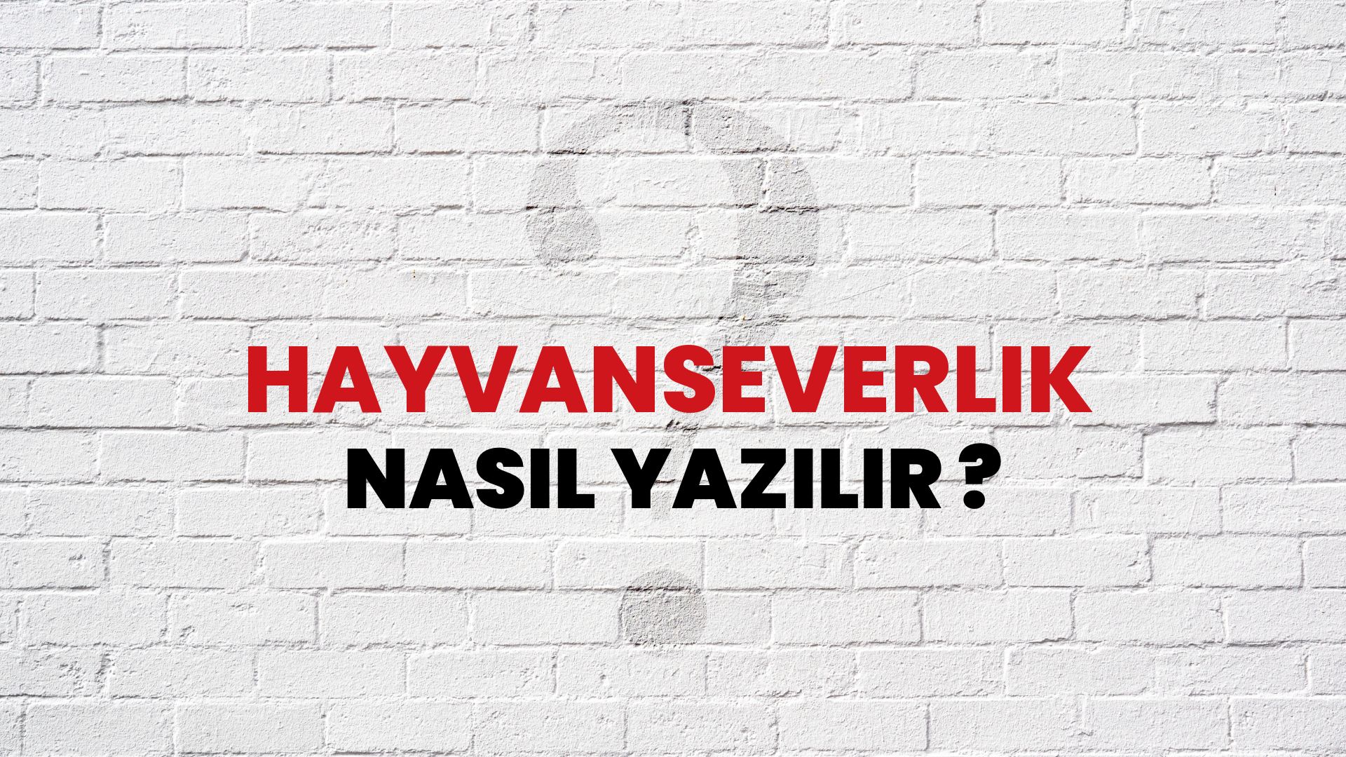 Hayvanseverlik Nasıl Yazılır? TDK ile Hayvanseverlik Doğru Yazılışı Nedir?