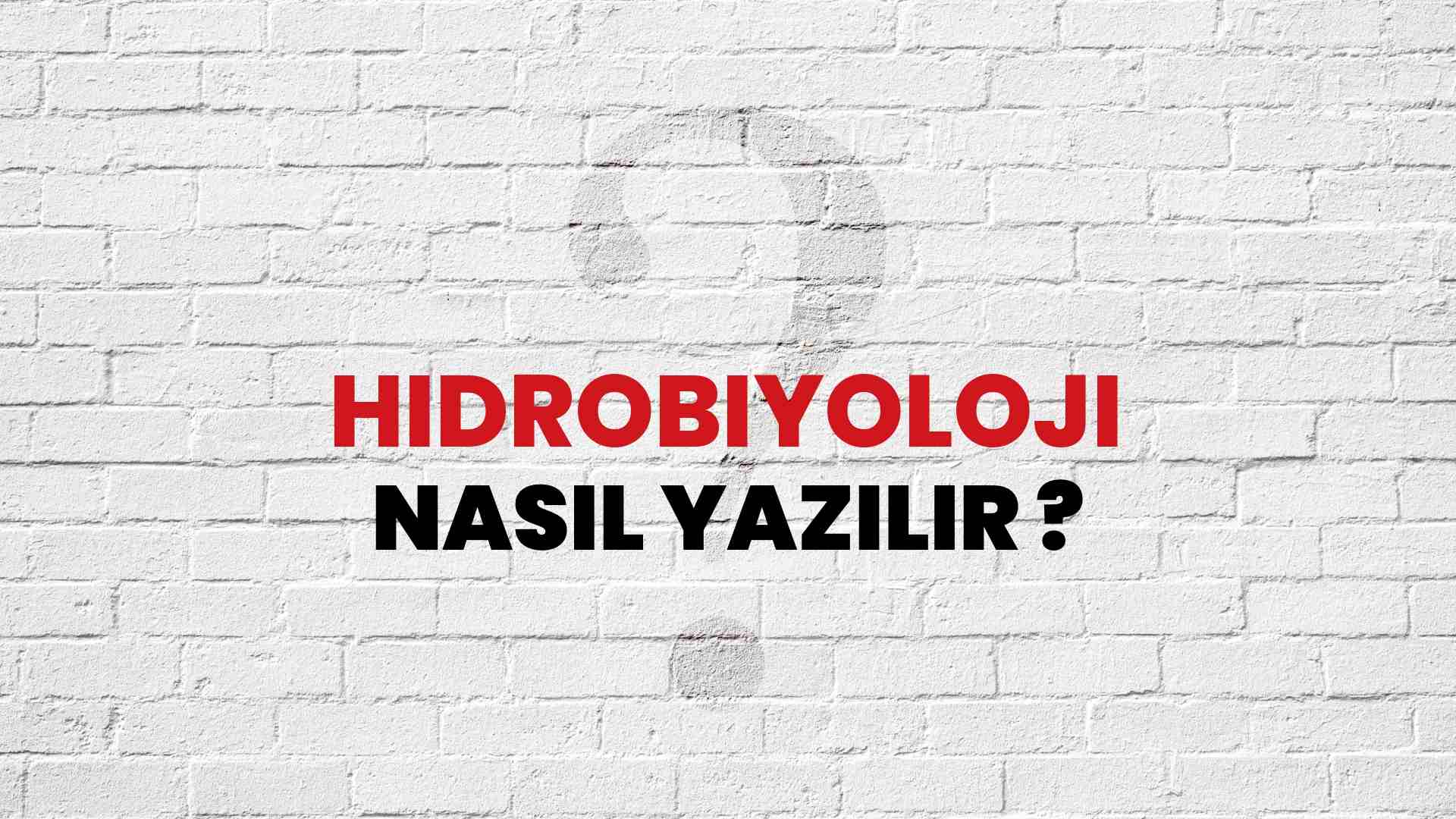 Hidrobiyoloji Doğru Yazımı Nedir? TDK ile Hidrobiyoloji Kelimesinin Doğru Yazılışı!