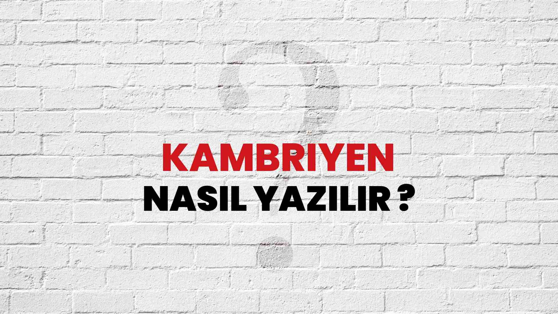 Kambriyen Nasıl Yazılır? TDK ile Kambriyen Doğru Yazılışı Nedir?