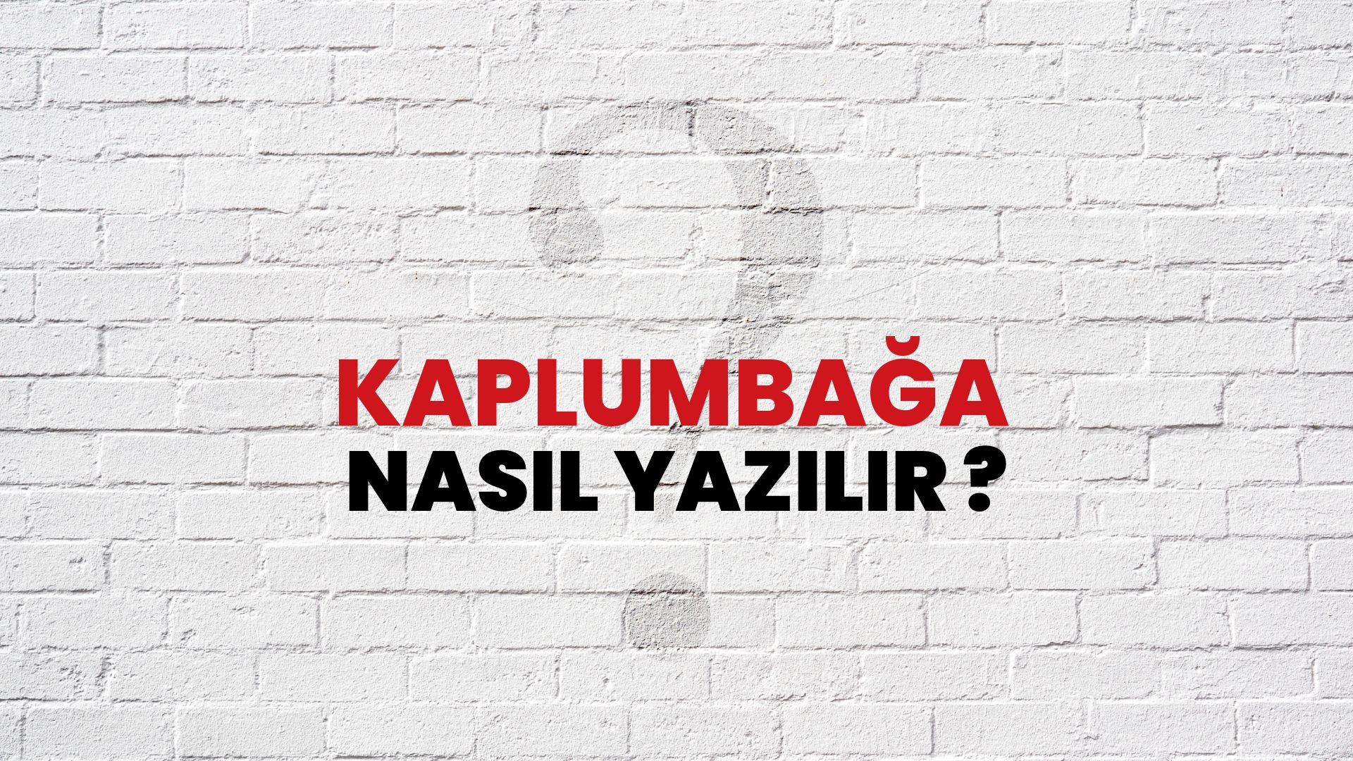 Kaplumbağa Nasıl Yazılır? TDK ile Kaplumbağa Doğru Yazılışı Nedir?
