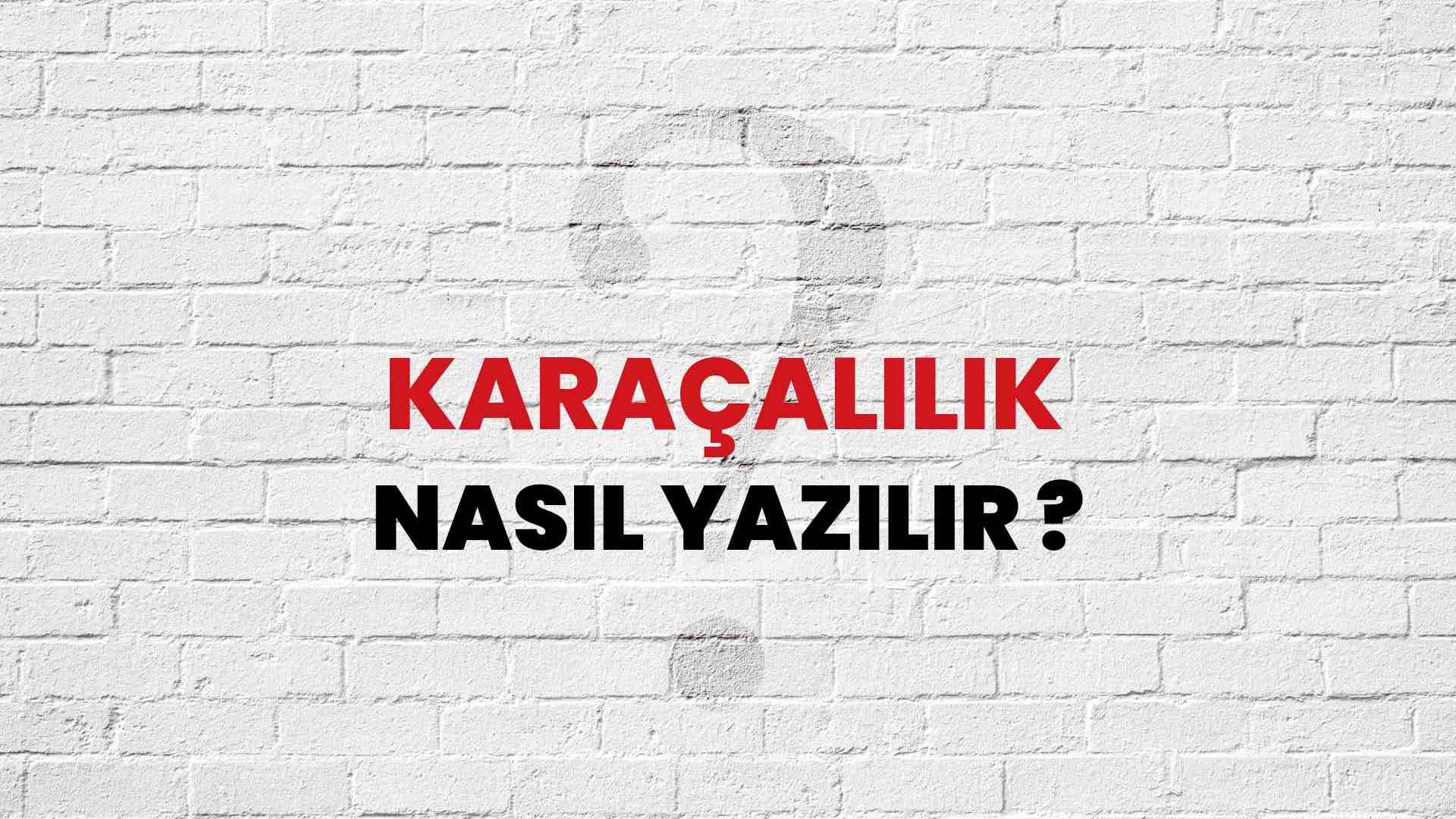 Karaçalılık Nasıl Yazılır? TDK ile Karaçalılık Doğru Yazılışı Nedir?