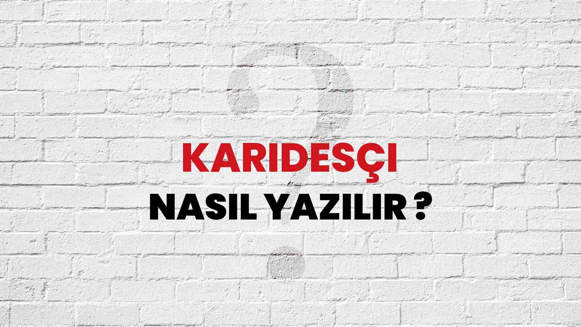 Karidesçi Doğru Yazımı Nedir? TDK ile Karidesçi Kelimesinin Doğru Yazılışı!