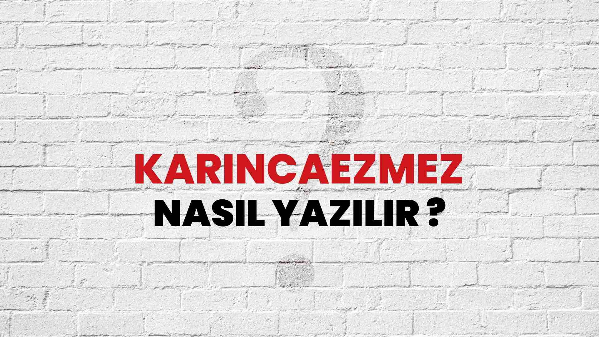 Karıncaezmez Doğru Yazımı Nedir? TDK ile Karıncaezmez Kelimesinin Doğru Yazılışı!