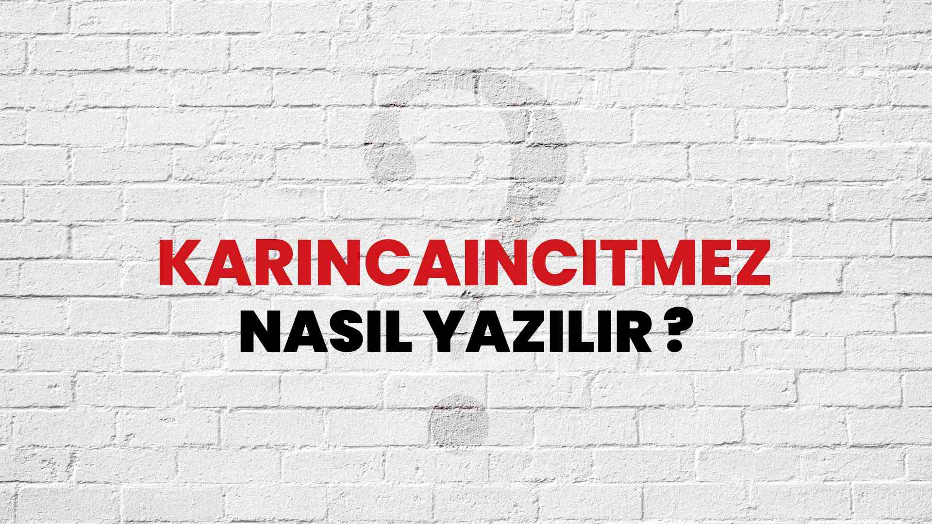 Karıncaincitmez Doğru Yazımı Nedir? TDK ile Karıncaincitmez Kelimesinin Doğru Yazılışı!