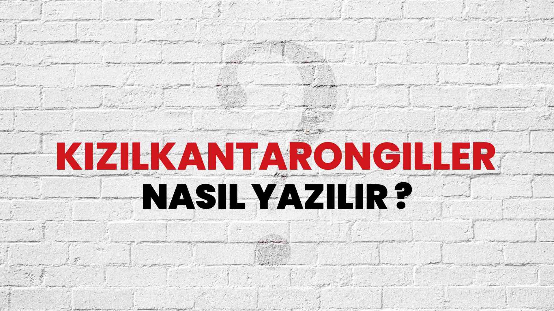 Kızılkantarongiller Nasıl Yazılır? TDK ile Kızılkantarongiller Doğru Yazılışı Nedir?