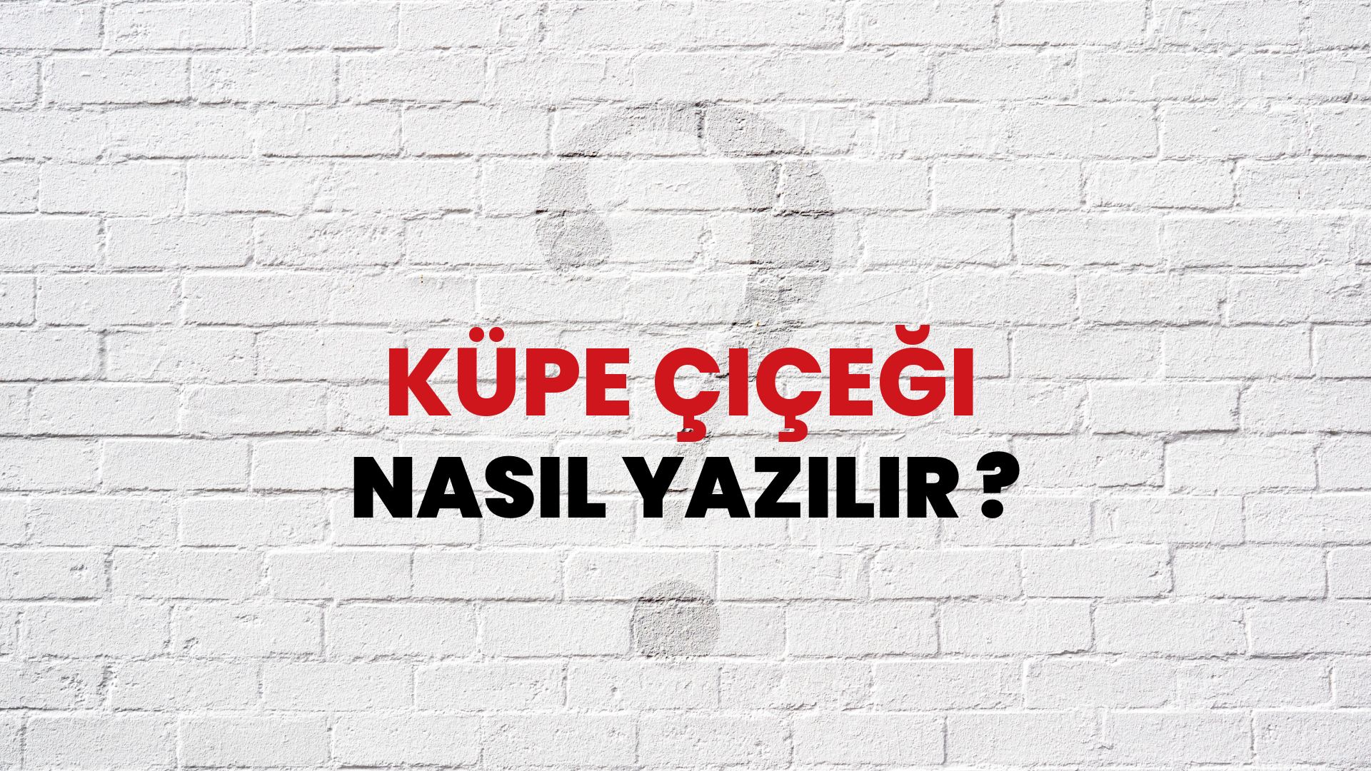 Küpe Çiçeği Nasıl Yazılır? TDK ile Küpe Çiçeği Doğru Yazılışı Nedir?