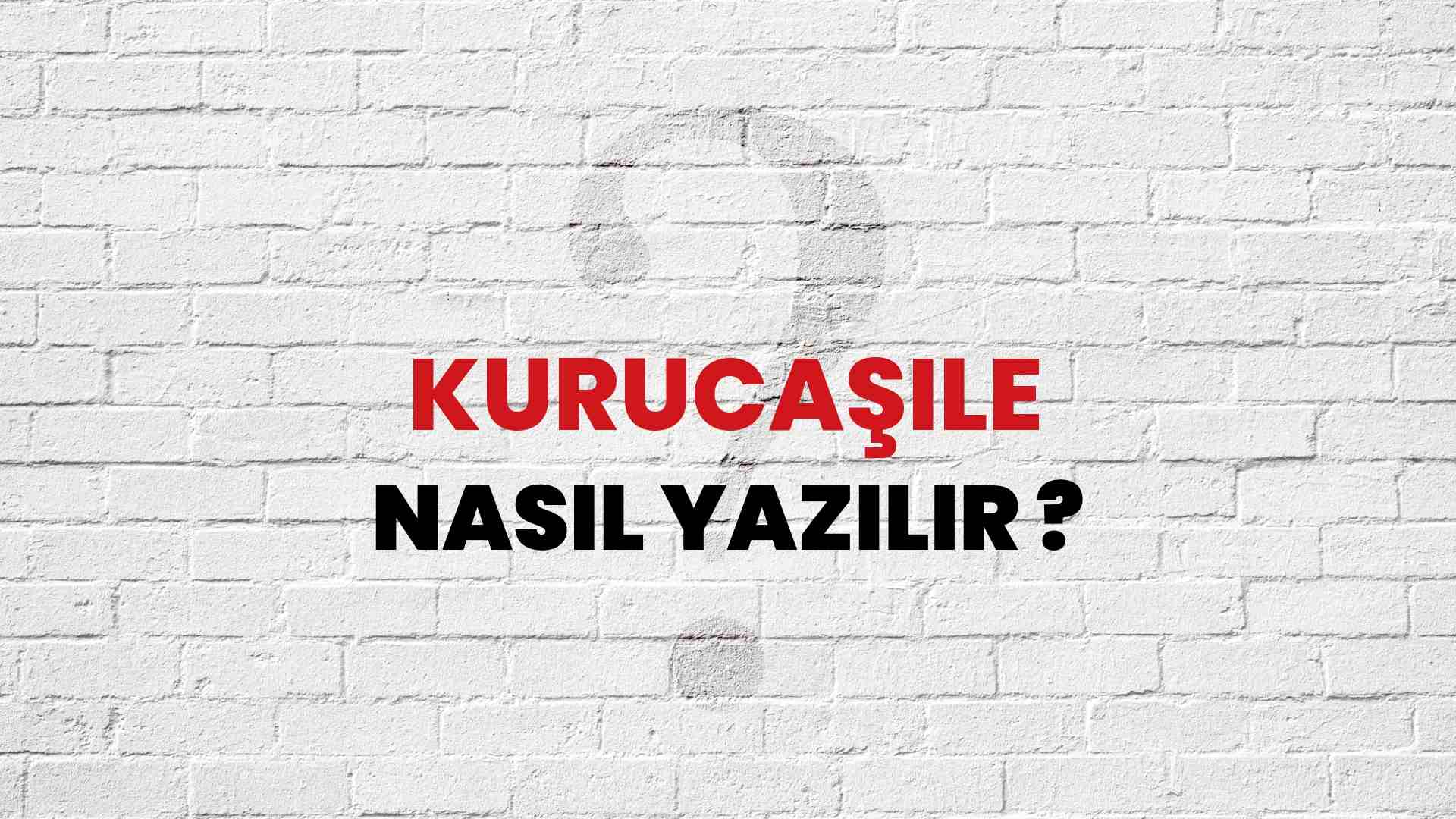 Kurucaşile Nasıl Yazılır? TDK ile Kurucaşile Doğru Yazılışı Nedir?