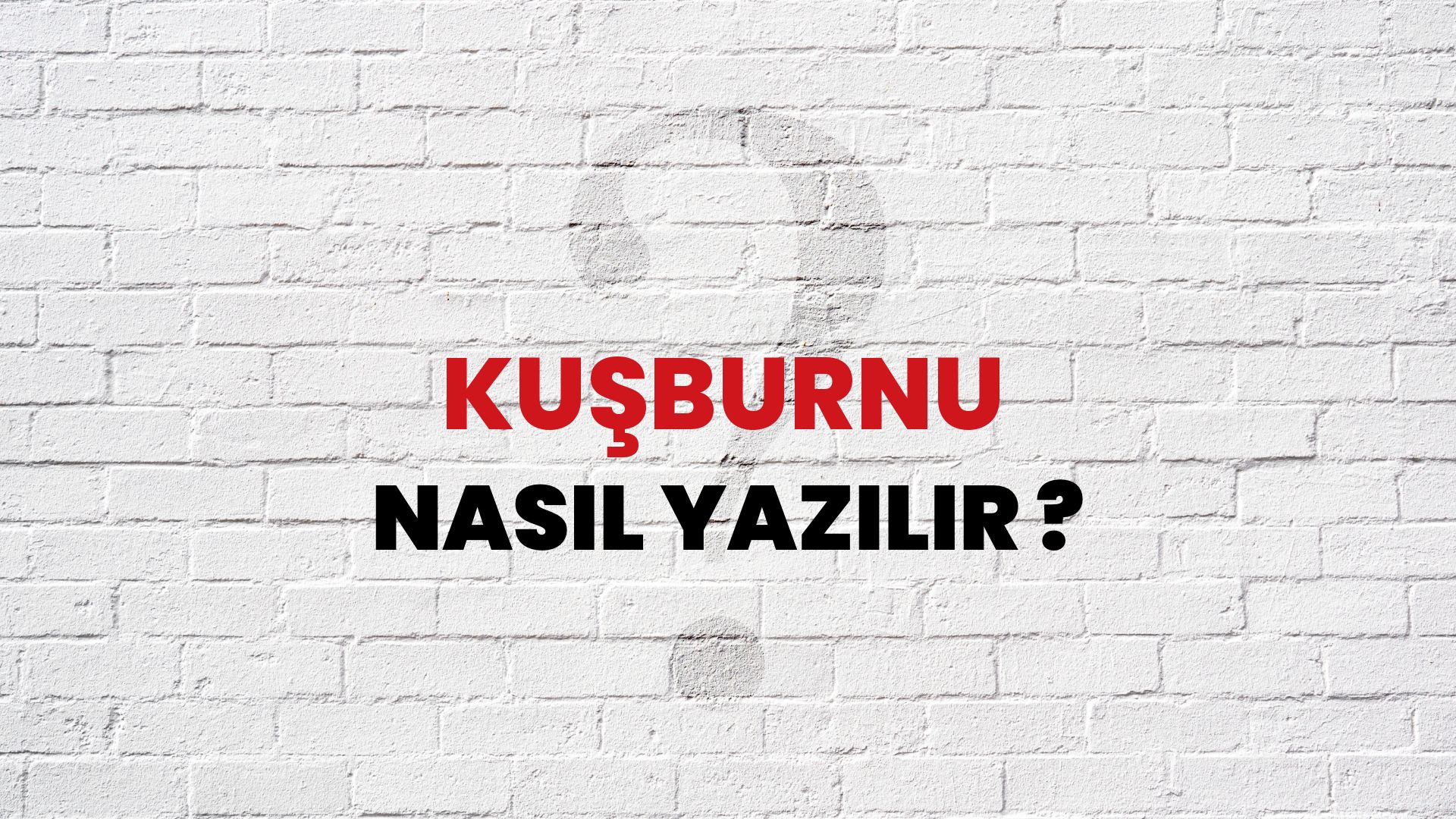 Kuşburnu Nasıl Yazılır? TDK ile Kuşburnu Doğru Yazılışı Nedir?