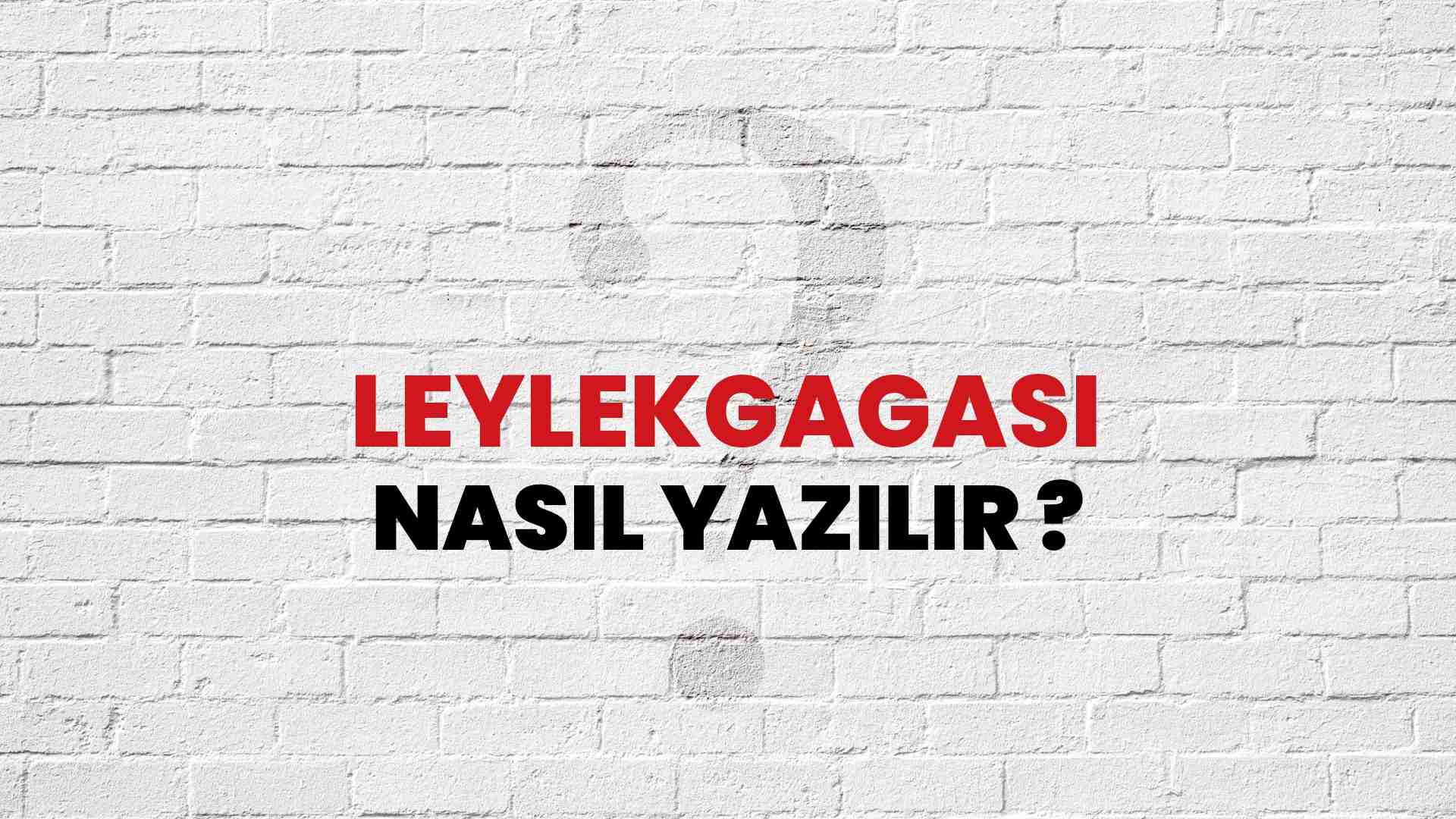 Leylekgagası Doğru Yazımı Nedir? TDK ile Leylekgagası Kelimesinin Doğru Yazılışı!