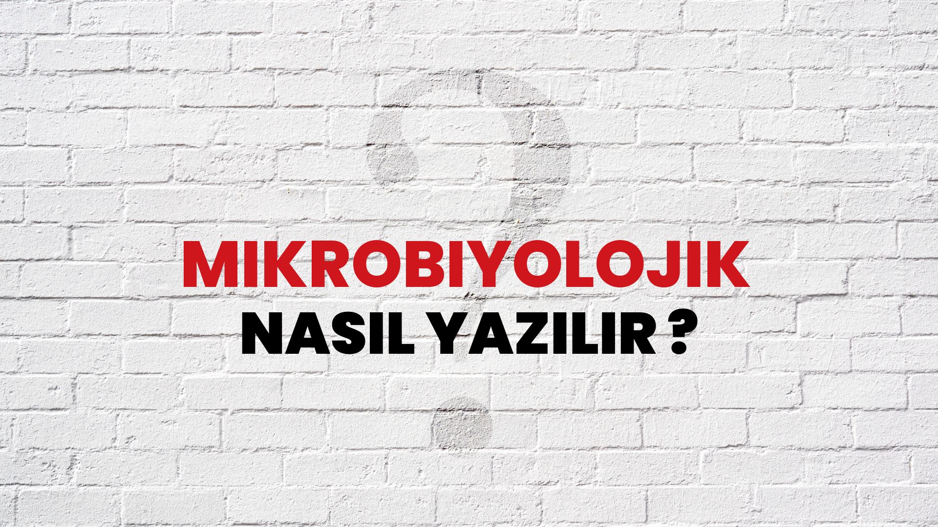 Mikrobiyolojik Nasıl Yazılır? TDK ile Mikrobiyolojik Doğru Yazılışı Nedir?