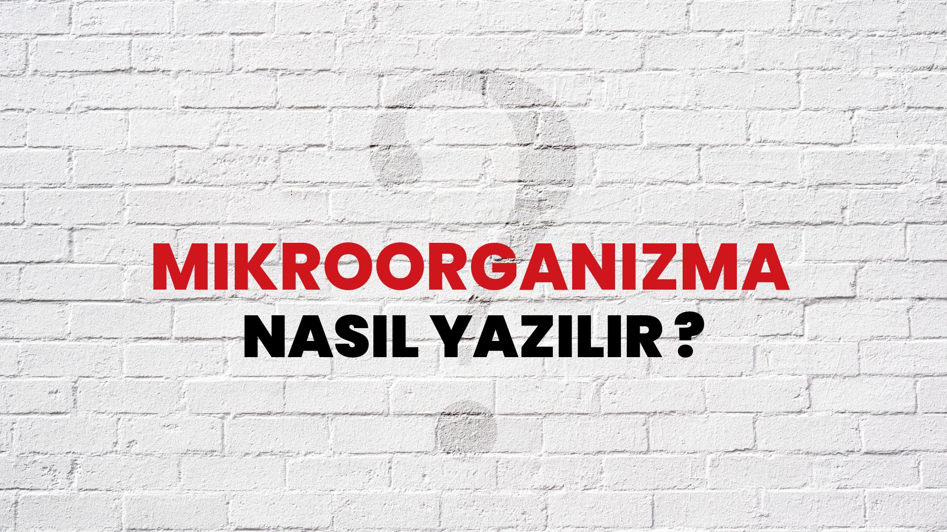 Mikroorganizma Nasıl Yazılır? TDK Ile Mikroorganizma Doğru Yazılışı ...