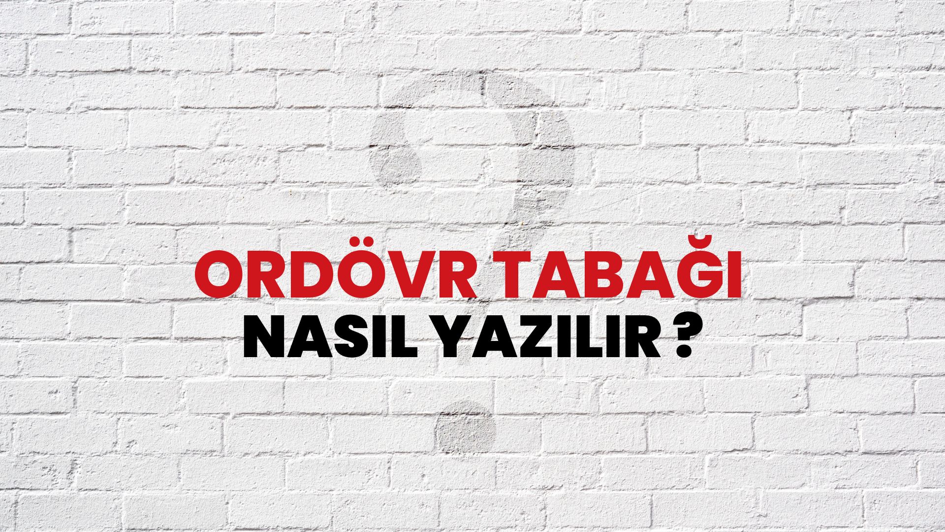 Ordövr Tabağı Nasıl Yazılır? TDK ile Ordövr Tabağı Doğru Yazılışı Nedir?