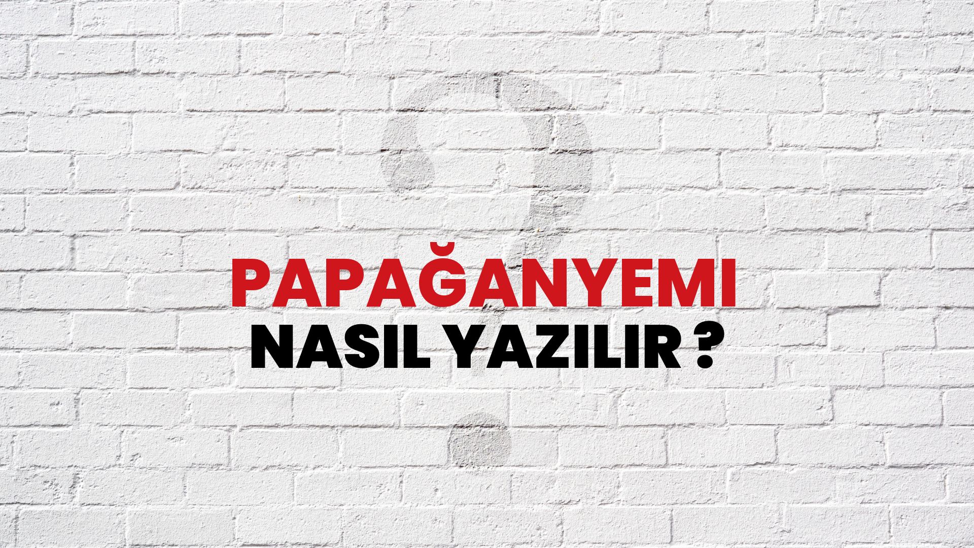 Papağanyemi Nasıl Yazılır? TDK ile Papağanyemi Doğru Yazılışı Nedir?