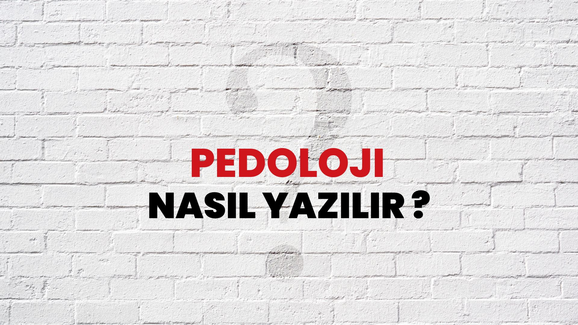 Pedoloji Nasıl Yazılır? TDK ile Pedoloji Doğru Yazılışı Nedir?