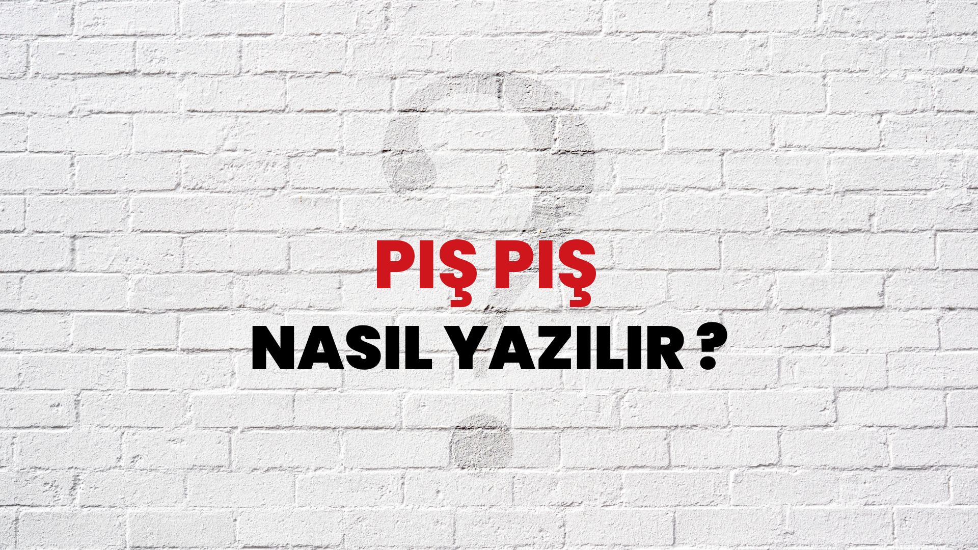 Pış Pış Nasıl Yazılır? TDK ile Pış Pış Doğru Yazılışı Nedir?