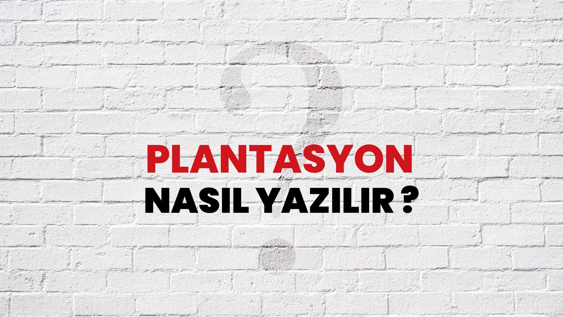 Plantasyon Nasıl Yazılır? TDK ile Plantasyon Doğru Yazılışı Nedir?