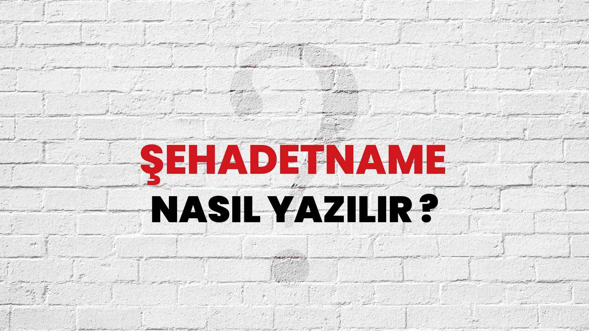 Şehadetname Doğru Yazımı Nedir? TDK ile Şehadetname Kelimesinin Doğru Yazılışı!